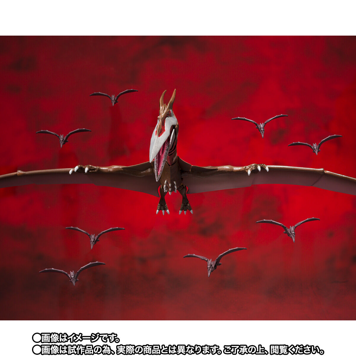 S.H.MonsterArts ラドン (2021) -第2形態- | ゴジラシリーズ