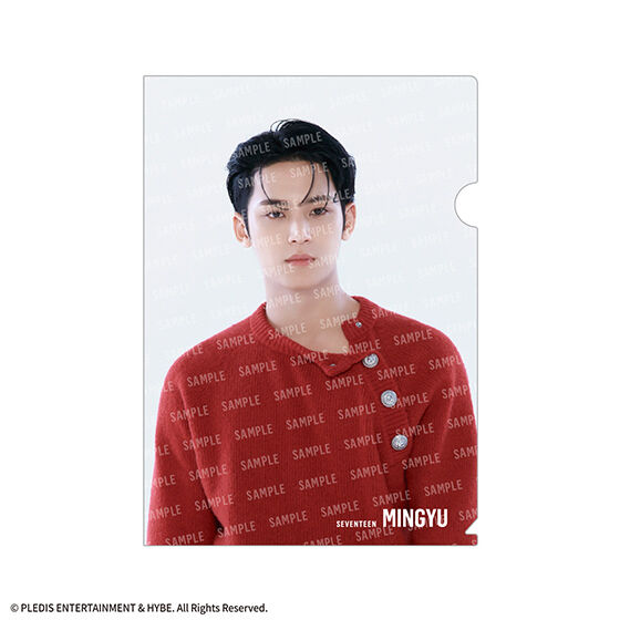 SVTクリアファイルvol.2 From PLEDIS ENTERTAINMENT SEVENTEEN