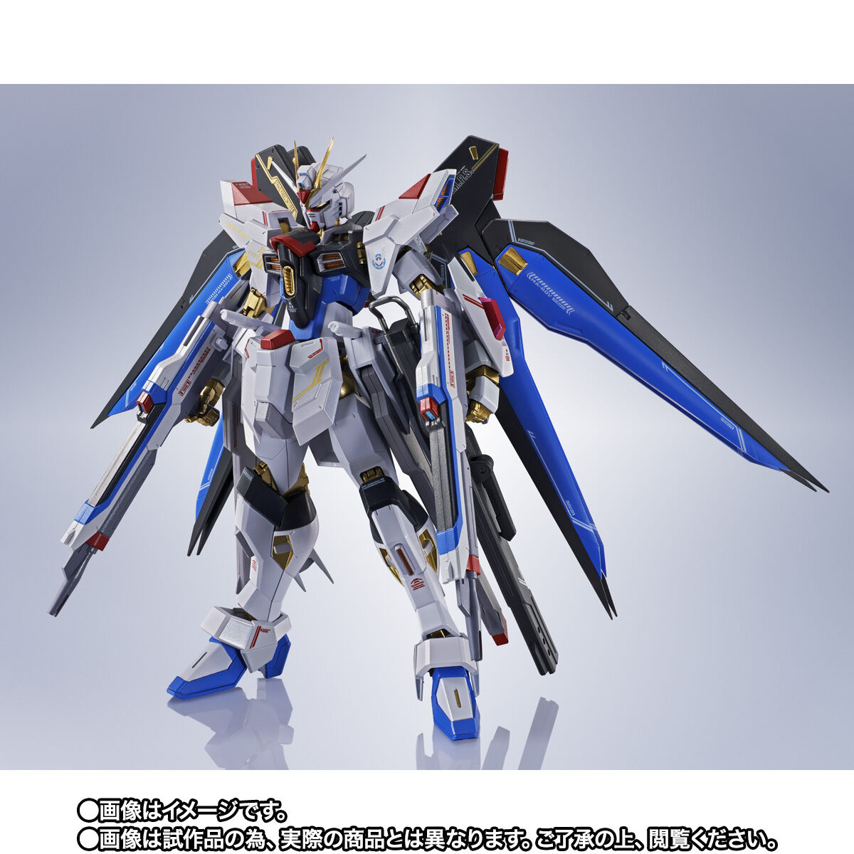 抽選販売】METAL ROBOT魂 ＜SIDE MS＞ ストライクフリーダムガンダム