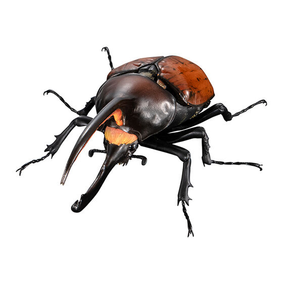 いきもの大図鑑アドバンス ゾウカブトとヘラクレスオオカブト