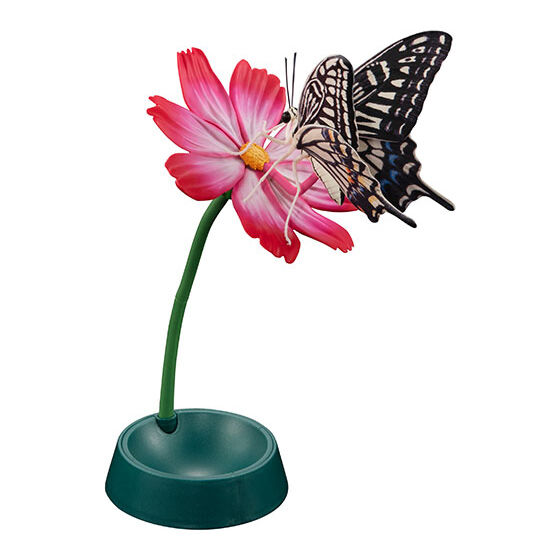 いきもの大図鑑アドバンス アゲハチョウ｜ガシャポンオフィシャルサイト