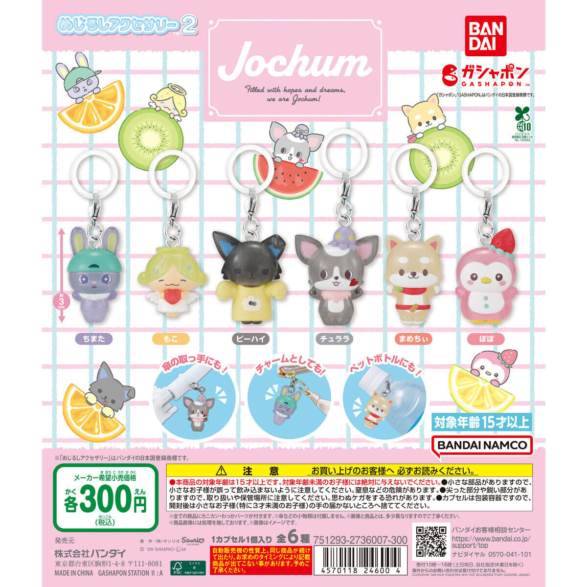 JOCHUM めじるしアクセサリー2｜ガシャポンオフィシャルサイト