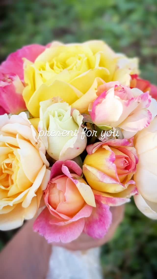 グリーンダイヤモンド Green Diamond ｜ ピーキャットローズショップ