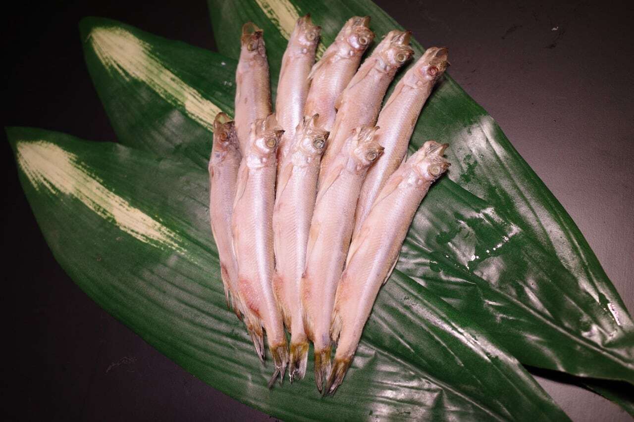 本ししゃも | 古谷商店