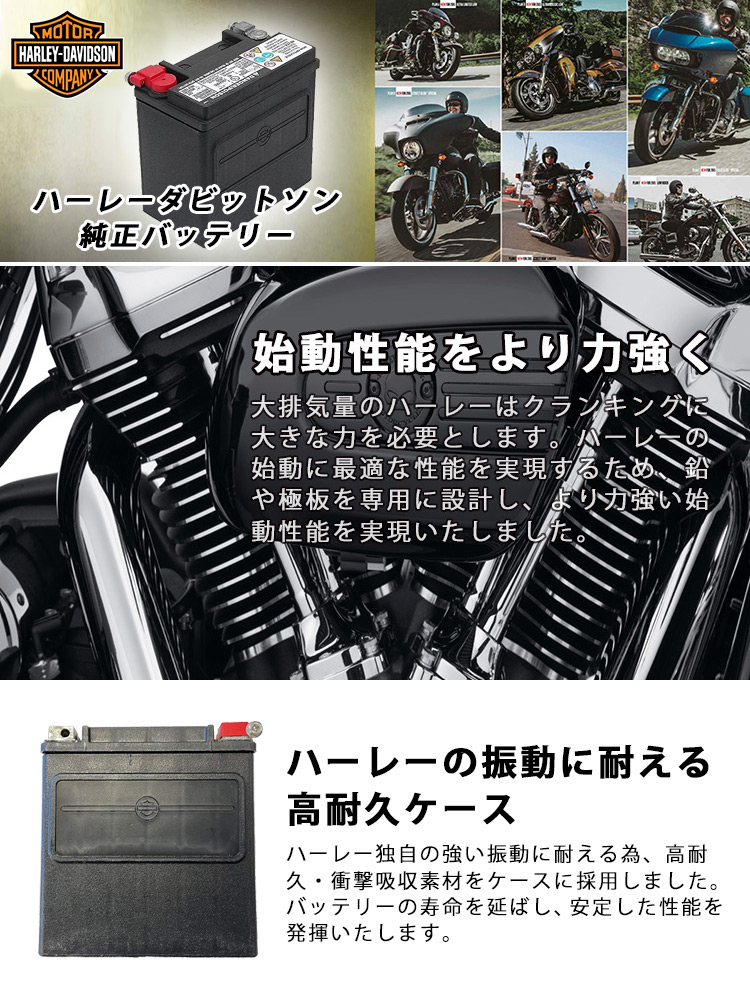HD 66000206A ハーレーダビットソン 純正 AGM バイクバッテリー