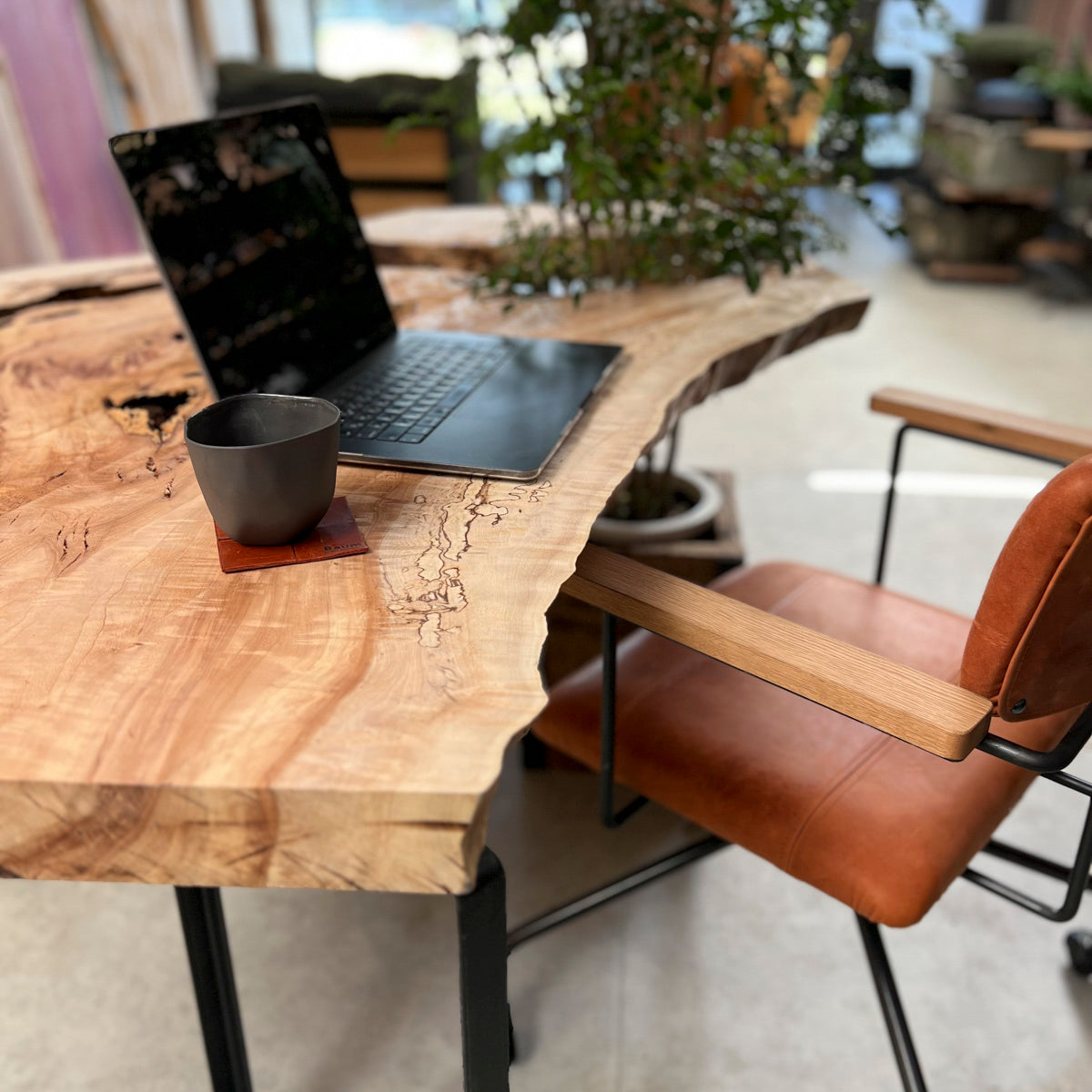 セール15%オフ】無垢一枚板 栃《T925-2》W1565/未仕上げ品 | オーダー