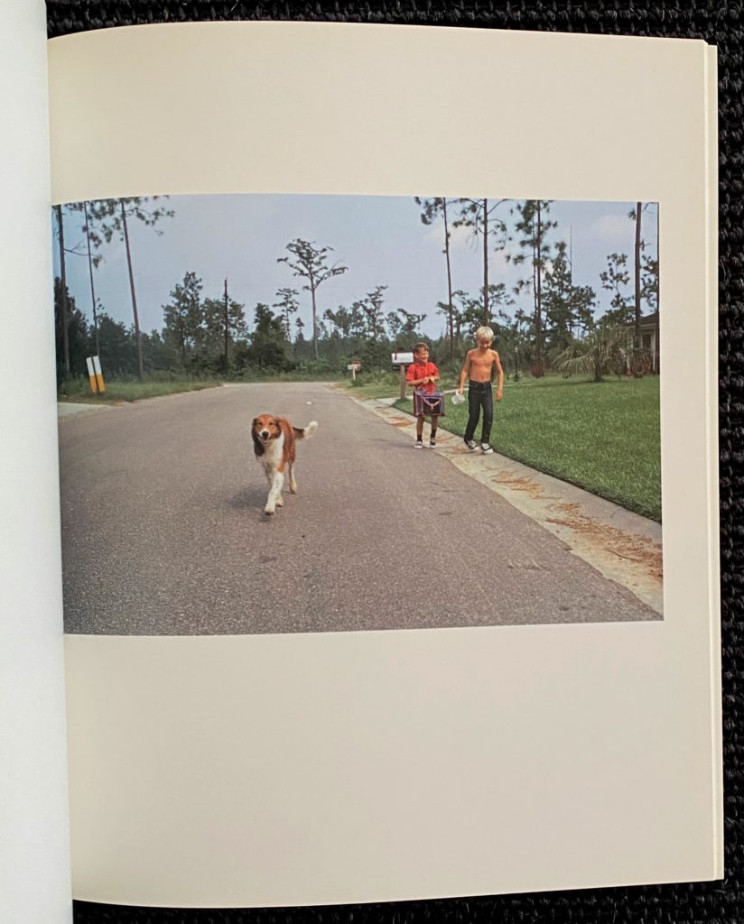 William Eggleston : Horses and Dogs - Benoit Waterkeyn