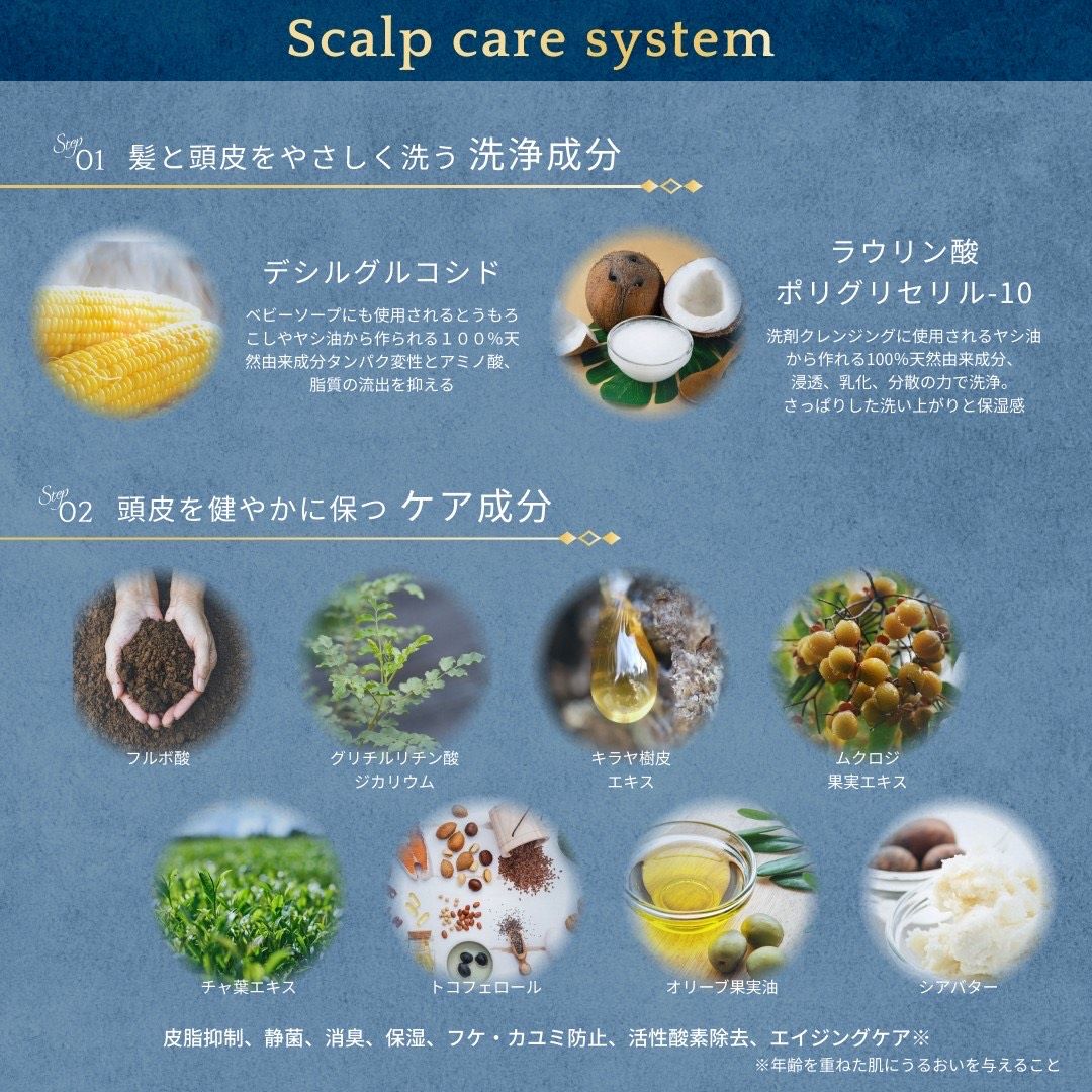 ビータークリームシャンプー 390g – ビューティークレア