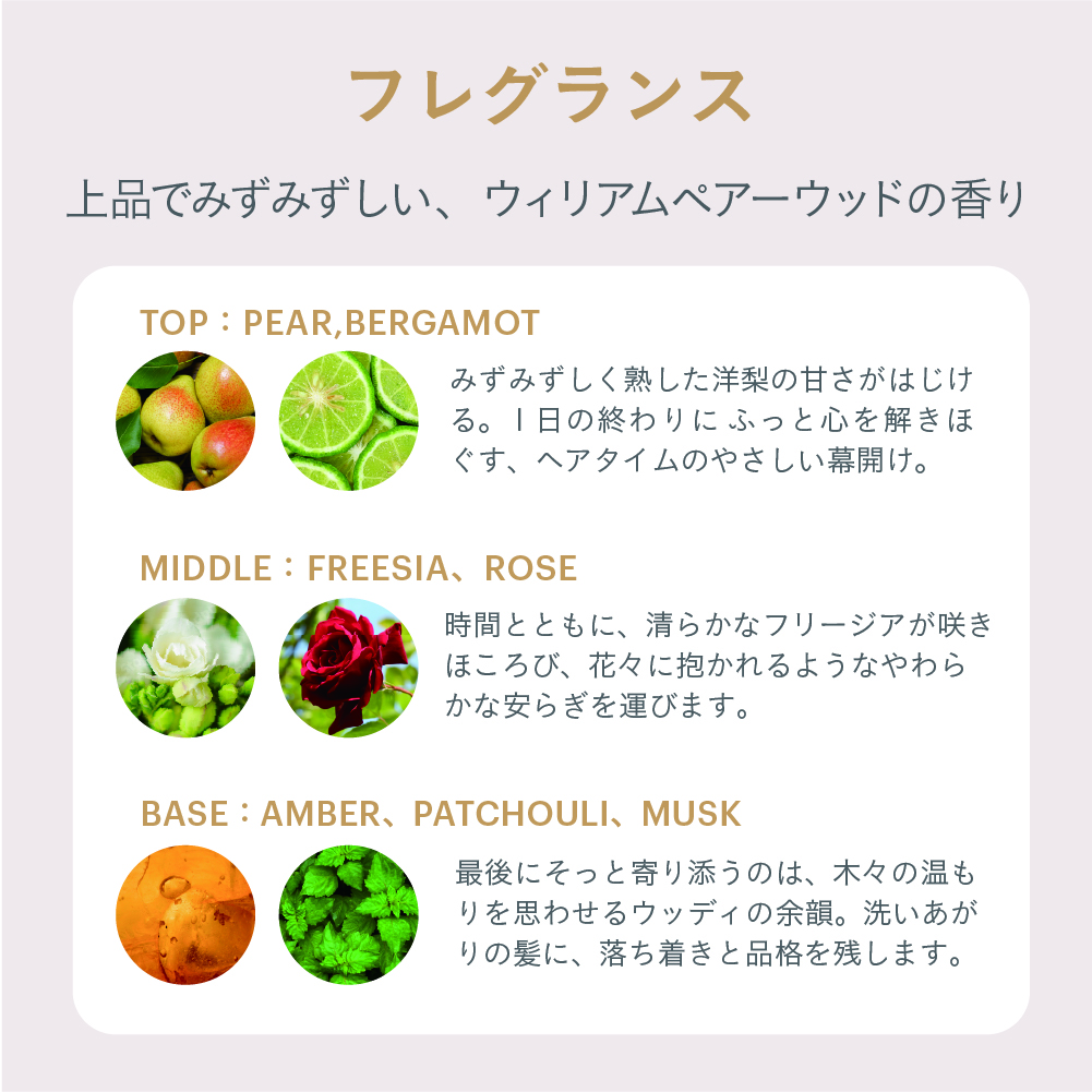 ESTABLISHED コアプレックス シャンプー400ml