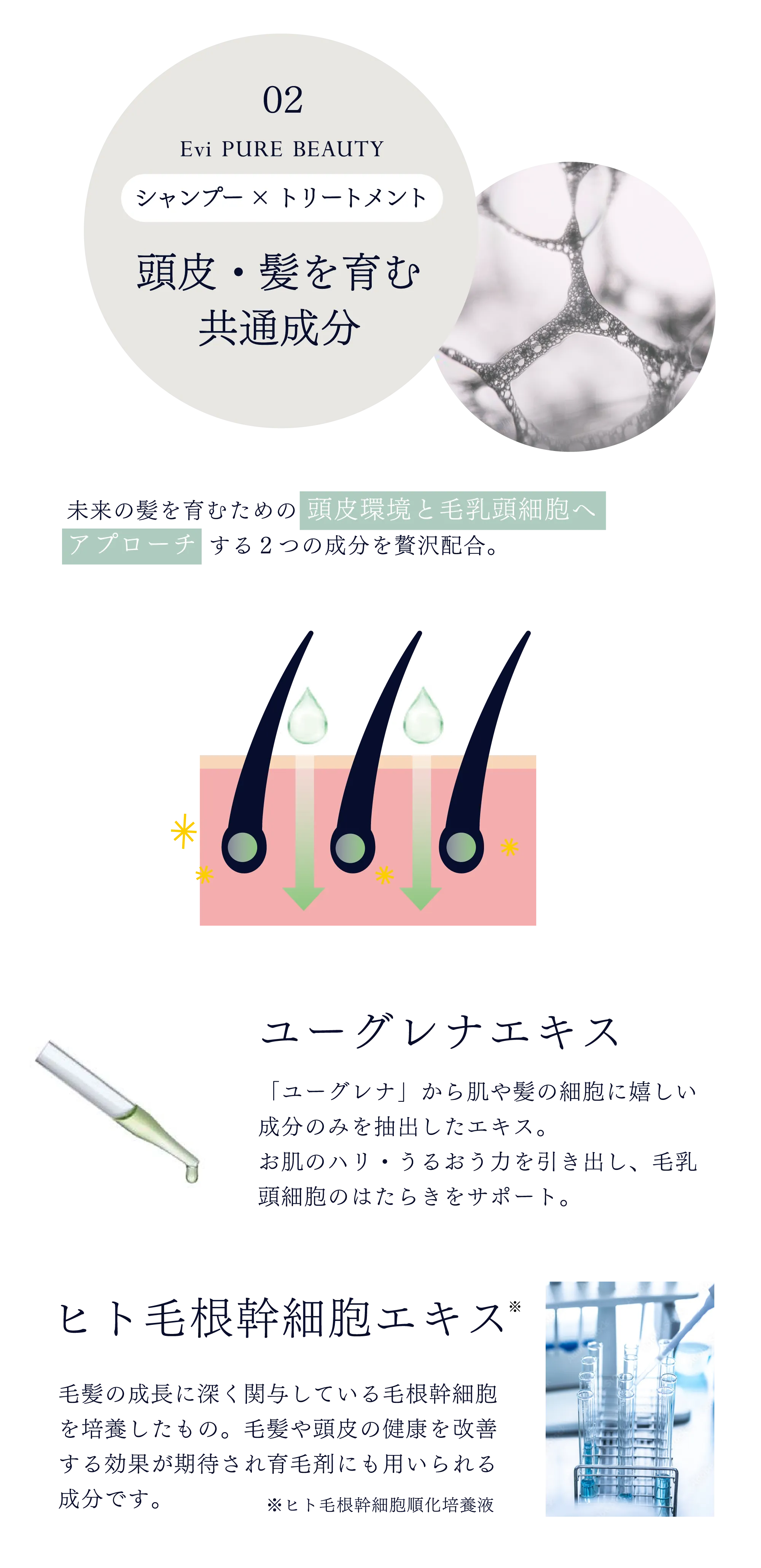 Evi プレミアムバウンステックシャンプー 300ml