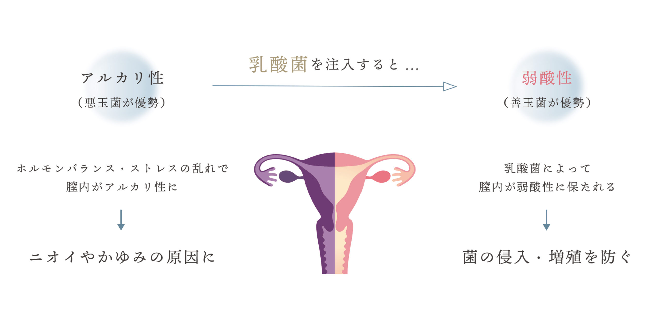 AmabiRes Platinum | 渋谷・東京の美容整形なら【ベル美容外科クリニック】