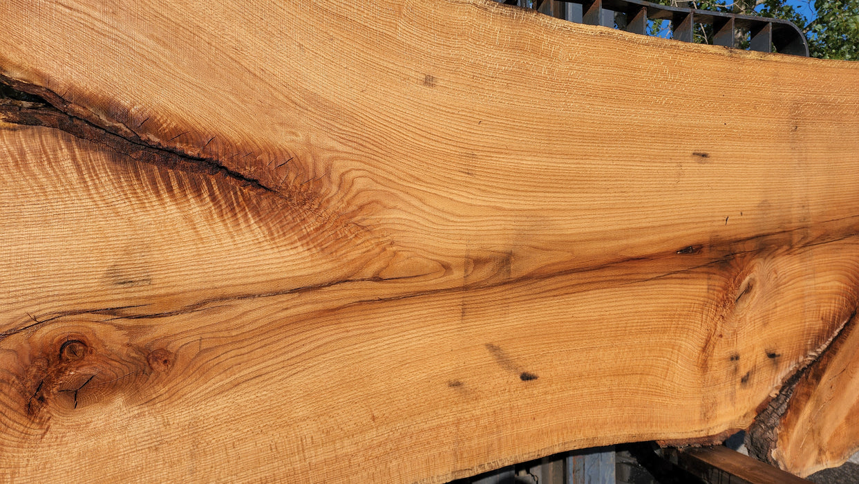 8069f_x700.jpg?v=1700152434