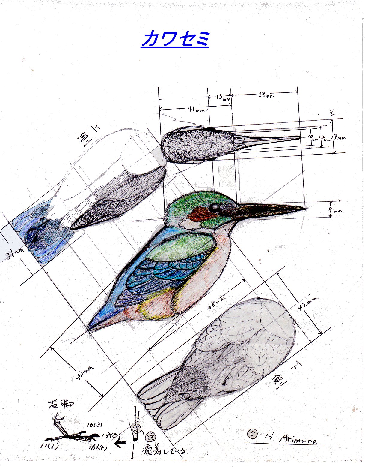 バードカービング 作り方 カワセミ