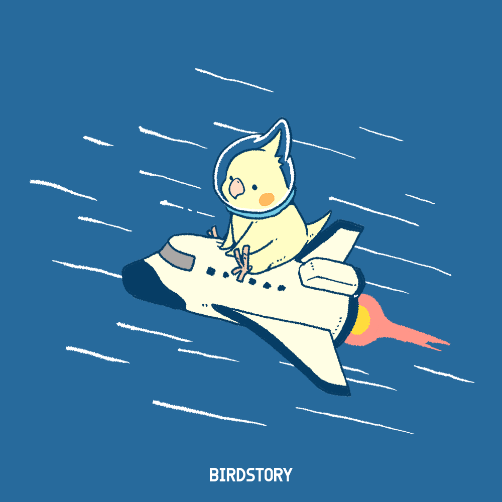 宇宙の日 9月12日のイラスト｜BIRDSTORY