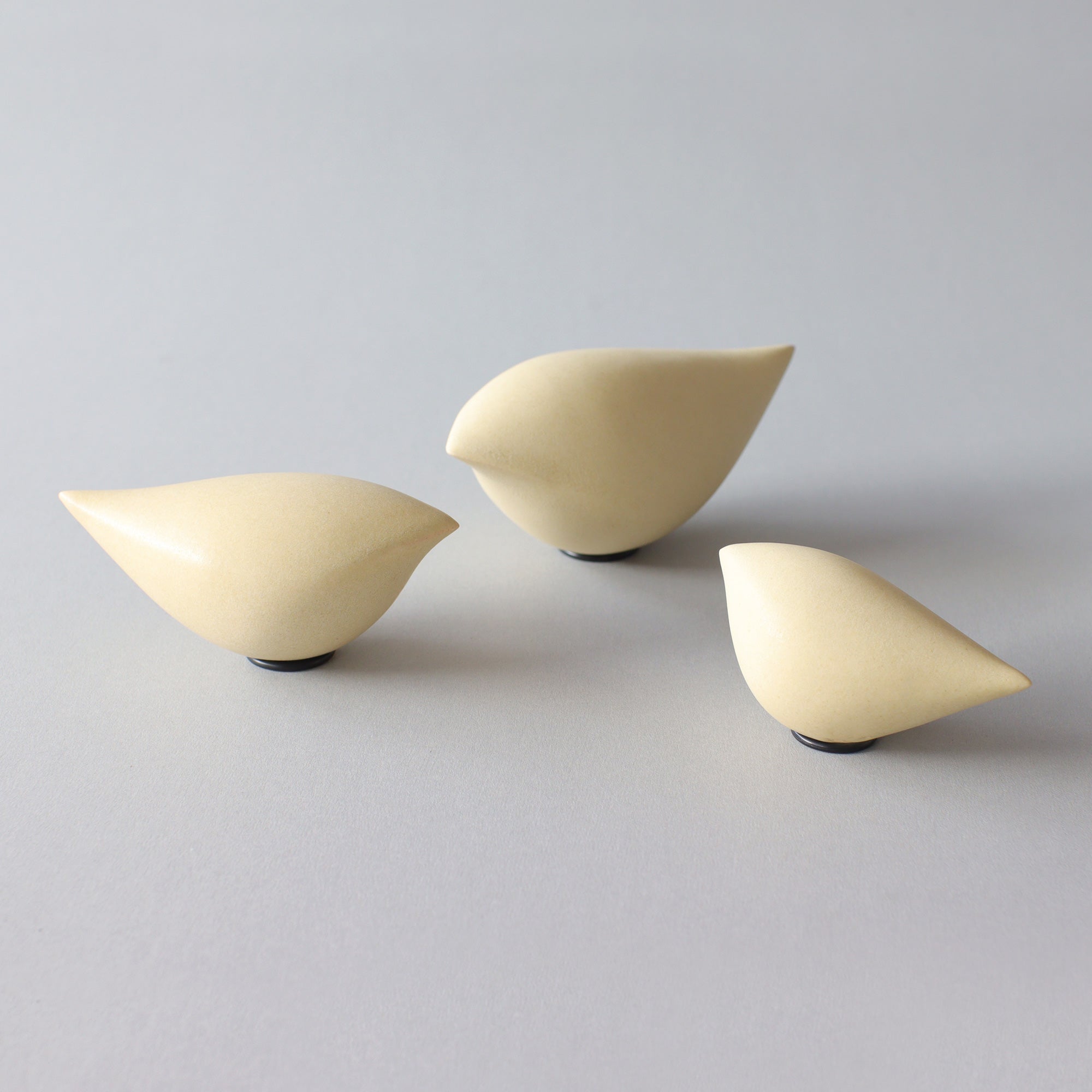 コレクション – BIRDS' WORDS