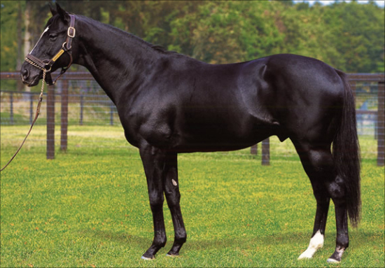 サンデーサイレンス「最後の競走馬」引退……圧倒的伝説ここに終幕で