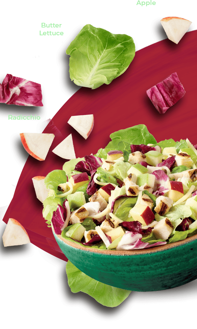 Crisp Apple & Butter Lettuce with Chicken – Bonduelle | Your Plant