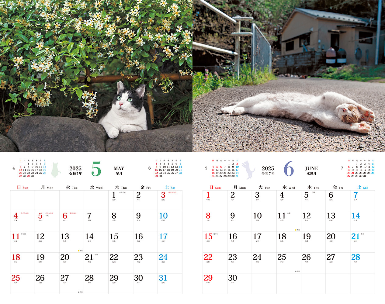 そとねこ - インプレスブックス