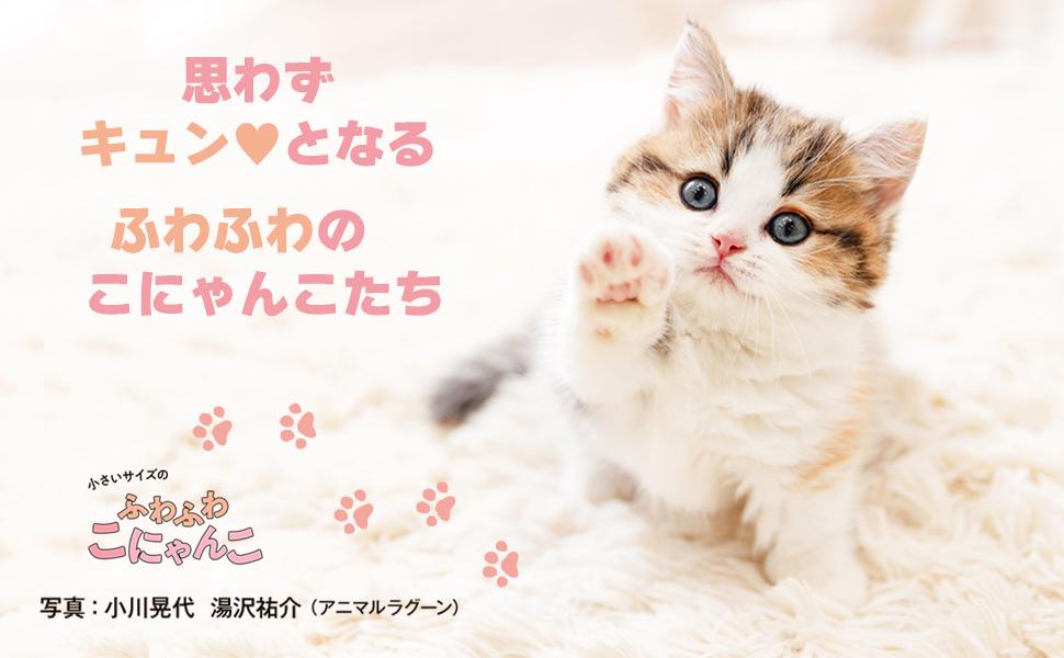 小さいサイズのふわふわこにゃんこ - インプレスブックス