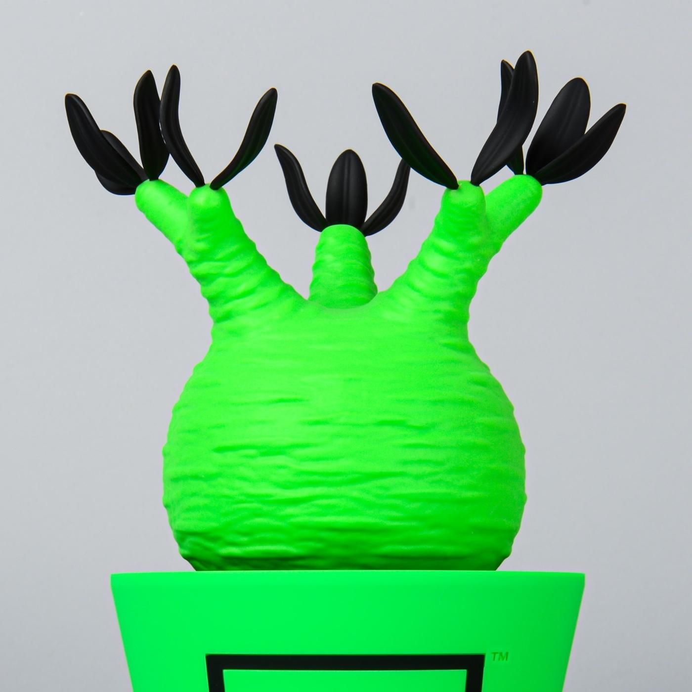 VCD Pachypodium Gracilius Fluorescent Green ＆ Black – BOTANIZE