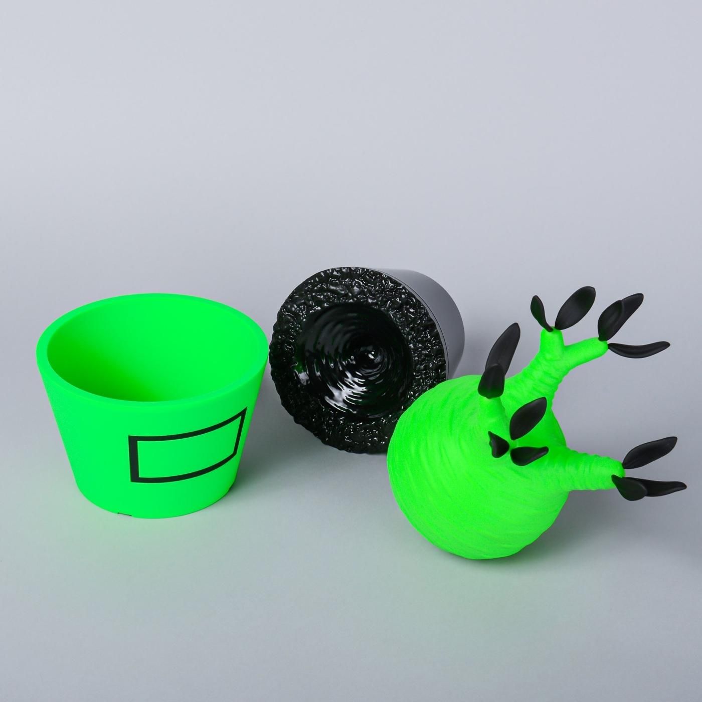 VCD Pachypodium Gracilius Fluorescent Green ＆ Black – BOTANIZE