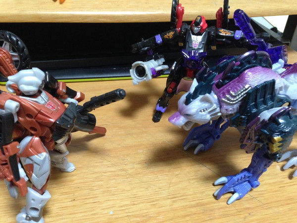 イヌっぽいけど実はネコに近い『フロストバイト(ユニバース)』 | DDMTF