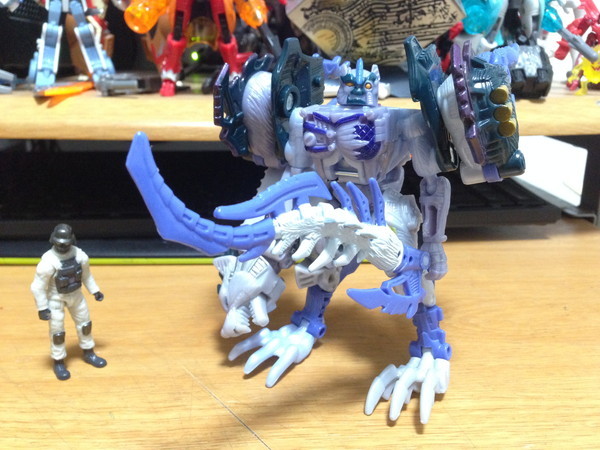 イヌっぽいけど実はネコに近い『フロストバイト(ユニバース)』 | DDMTF