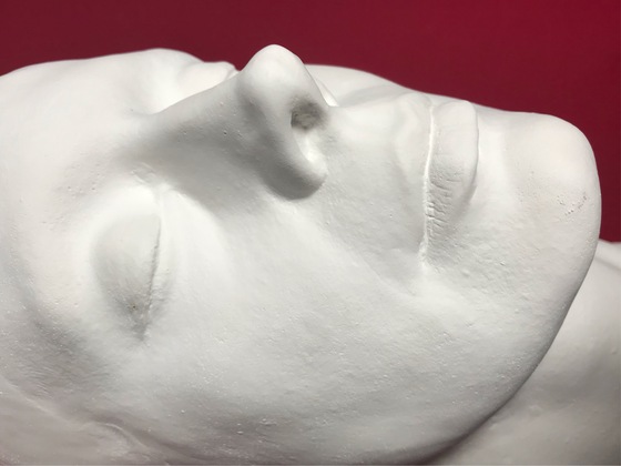 ショーン・ヤングのライフマスク | ぽんだらけ