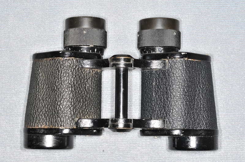 8X30元祖と写し | をかしの庭