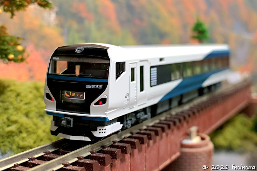 E257系2000番台 踊り子 その1 入線報告 - ナマケモノ写真館