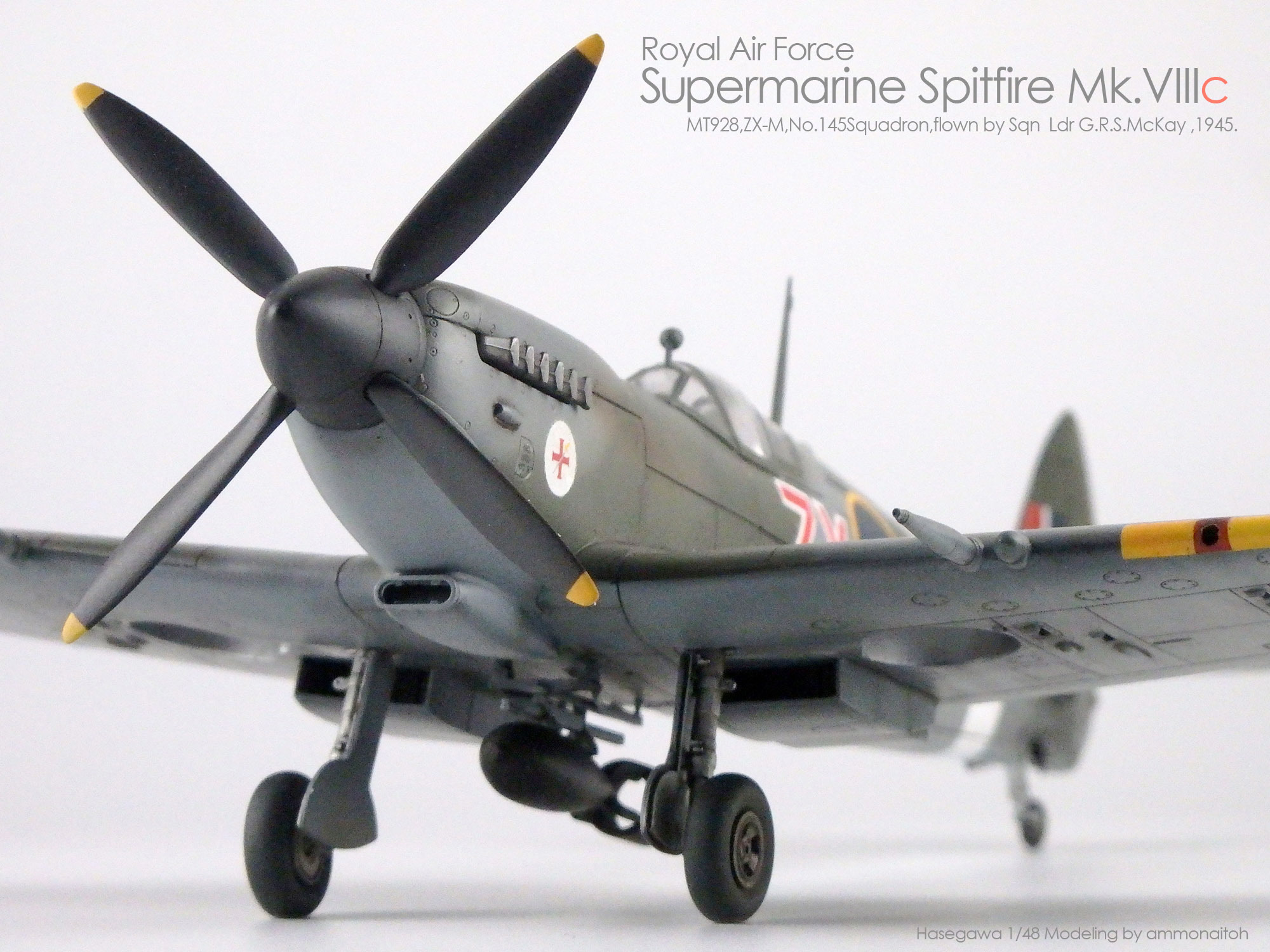 ハセガワ1/48スーパーマリンスピットファイアMk.VIIIcを作る