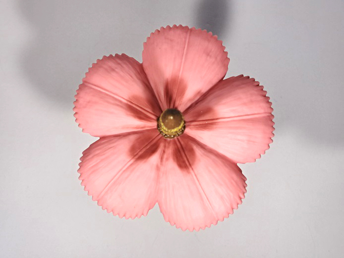 シン・ウルトラマンの新作ソフビが到着！（マンモスフラワー