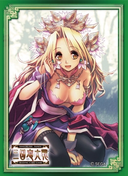 三国志大戦TCG「TCGの宴2013」全国4都市で開催 物販コーナーで限定