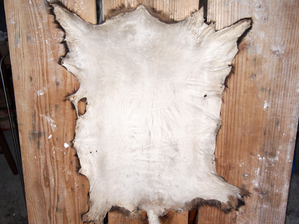 アナグマの皮なめし 板打ち】 | しがない猟師・毛鉤職人の日常