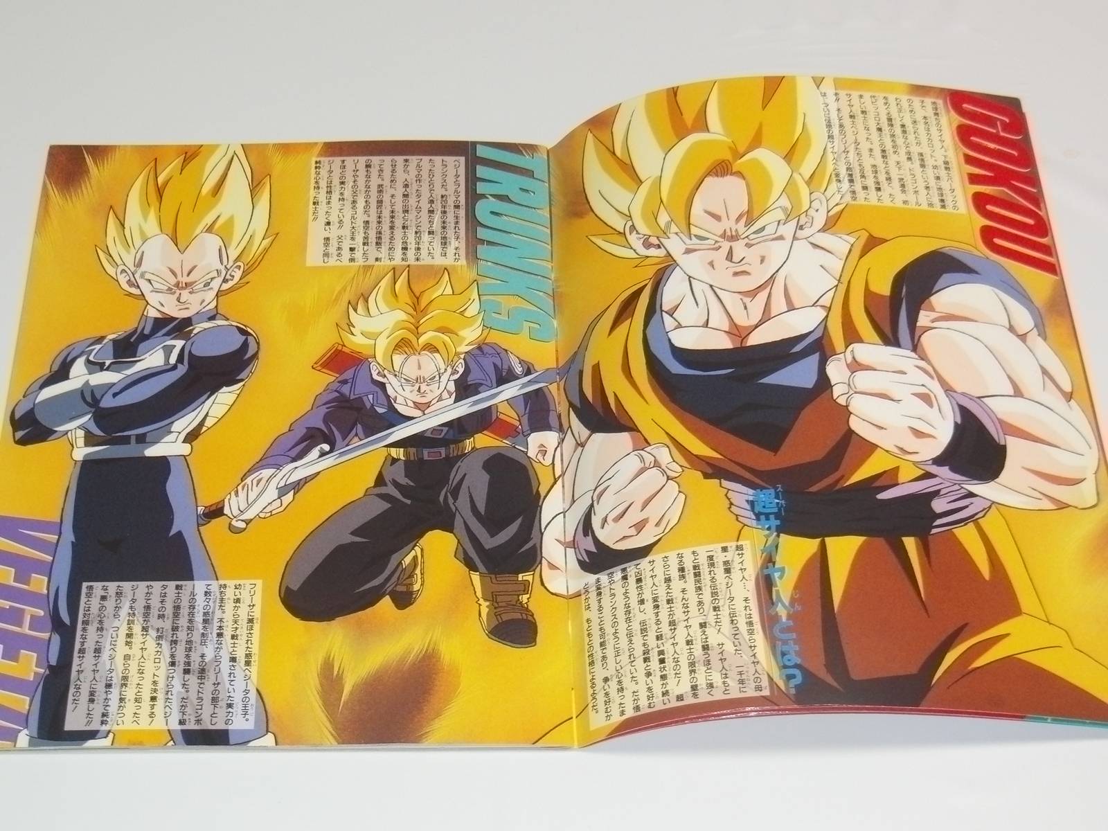 今日のDBグッズ その704】'92夏 東映アニメフェア パンフレット