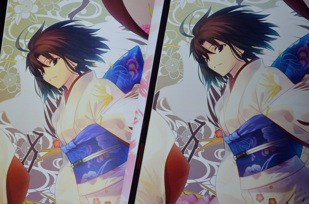 空の境界 the Garden of sinners 全画集＋未来福音 extra chorus』限定