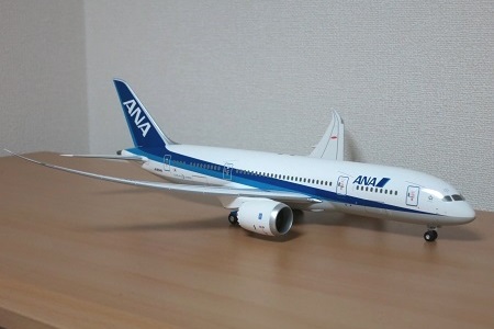ANA B787-8 通常塗装機（JA804A・暫定国内仕様機） - Neko Transport
