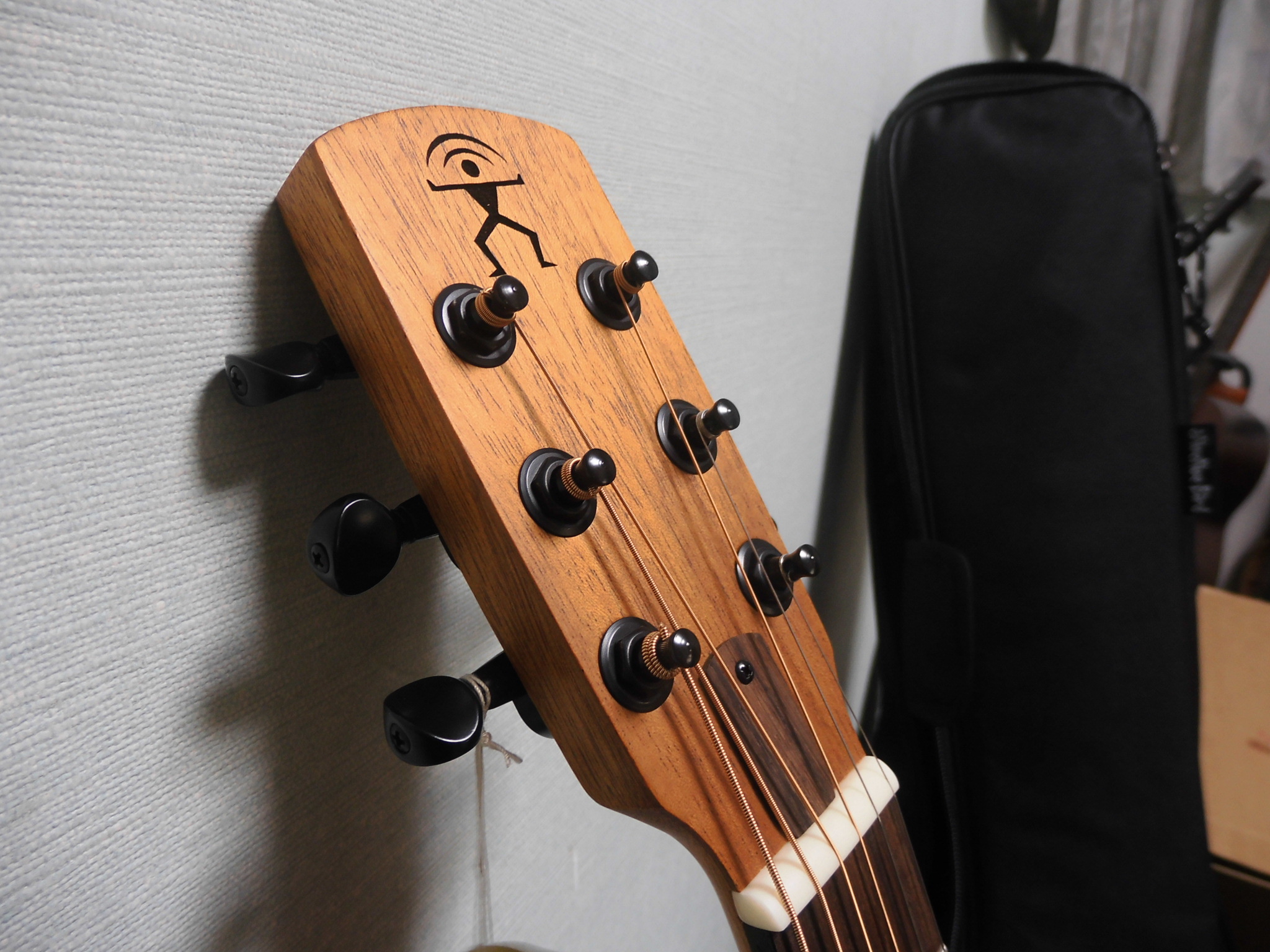 aNueNue Bird Guitar aNN-M2 購入しました！ - 怠惰な野郎の戦闘日記