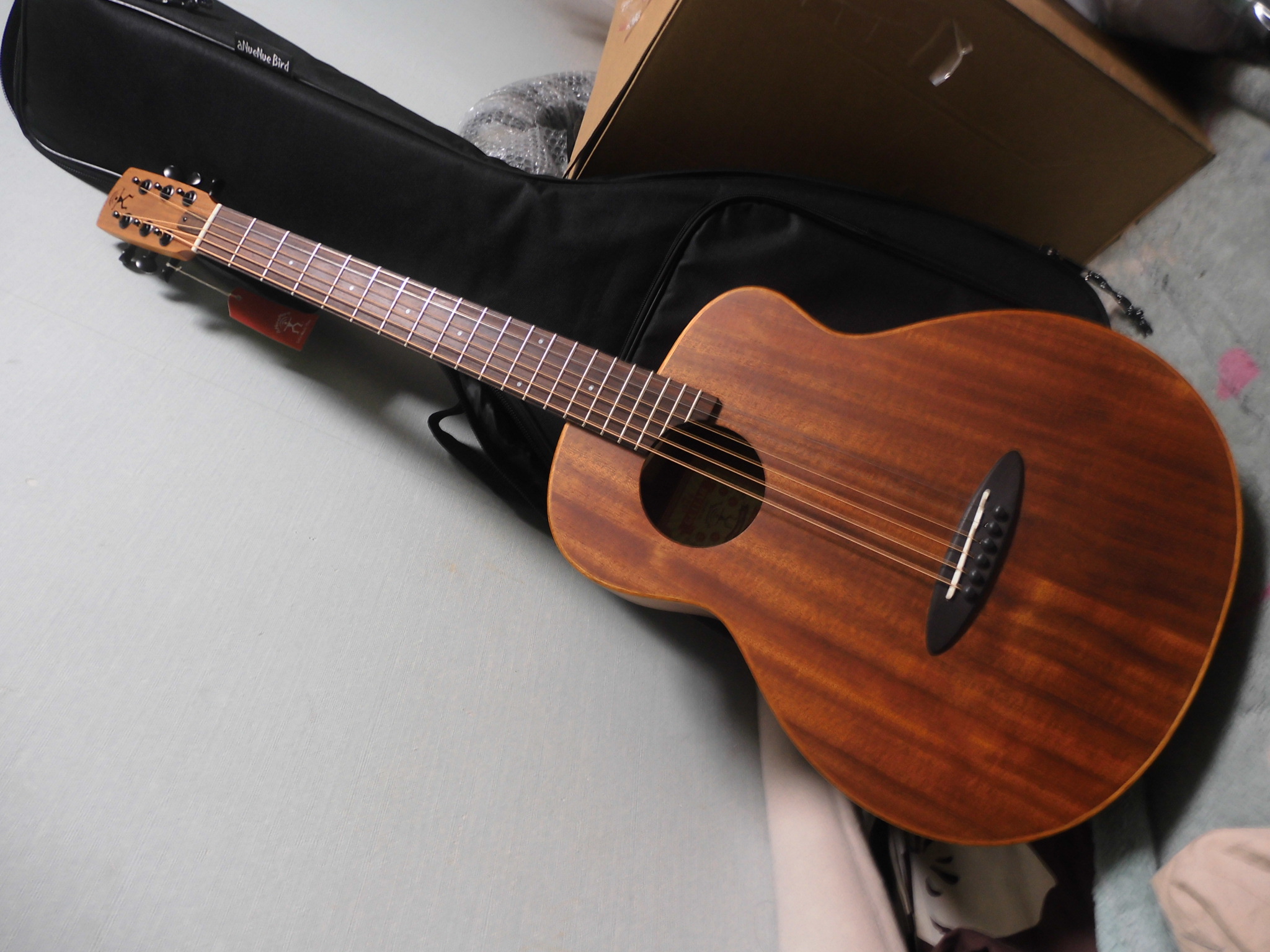 aNueNue Bird Guitar aNN-M2 購入しました！ - 怠惰な野郎の戦闘日記