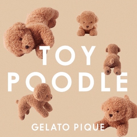 ♡4/28(FRI)トイプードルシリーズ店頭販売における注意事項