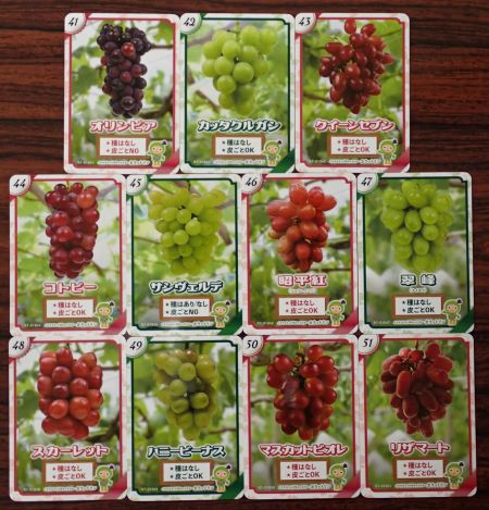 生坂村で「ぶどうカード」第3弾ができました | 来て！観て！松本『彩