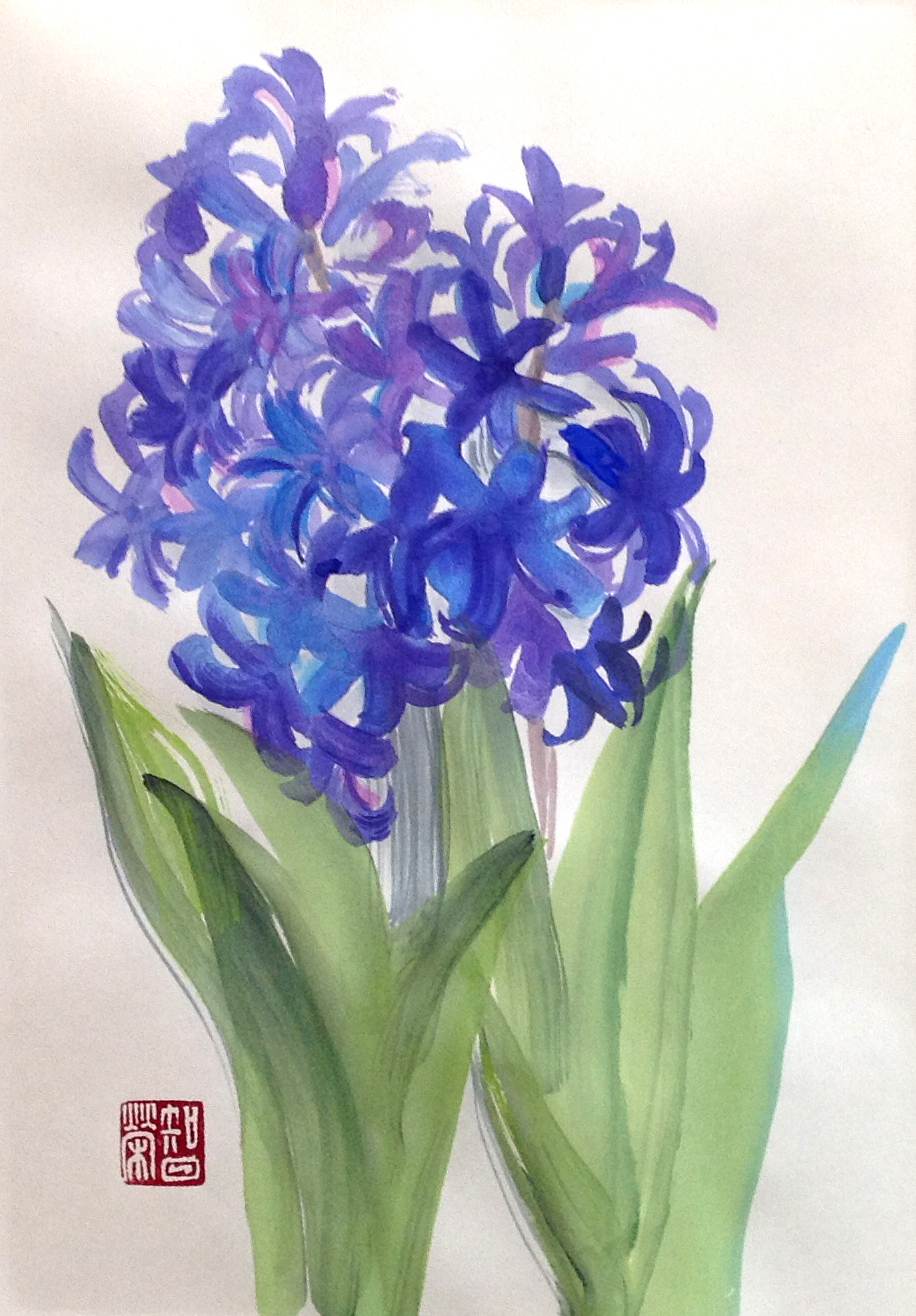 和水彩クラスブログ☆ヒヤシンス « omo3_blog