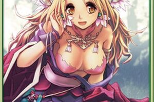 三国志大戦TCG「TCGの宴2013」全国4都市で開催 物販コーナーで限定