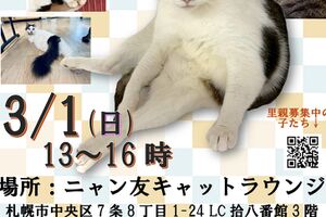 ニャン友ねっとわーく北海道