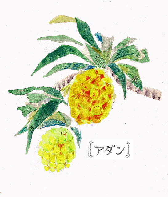 奄美を恋し、奄美に愛された画家 田中一村｜ブラトラ