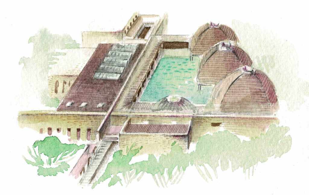 奄美を恋し、奄美に愛された画家 田中一村｜ブラトラ