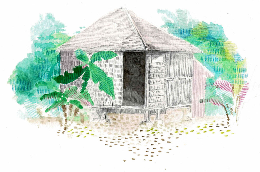 奄美を恋し、奄美に愛された画家 田中一村｜ブラトラ