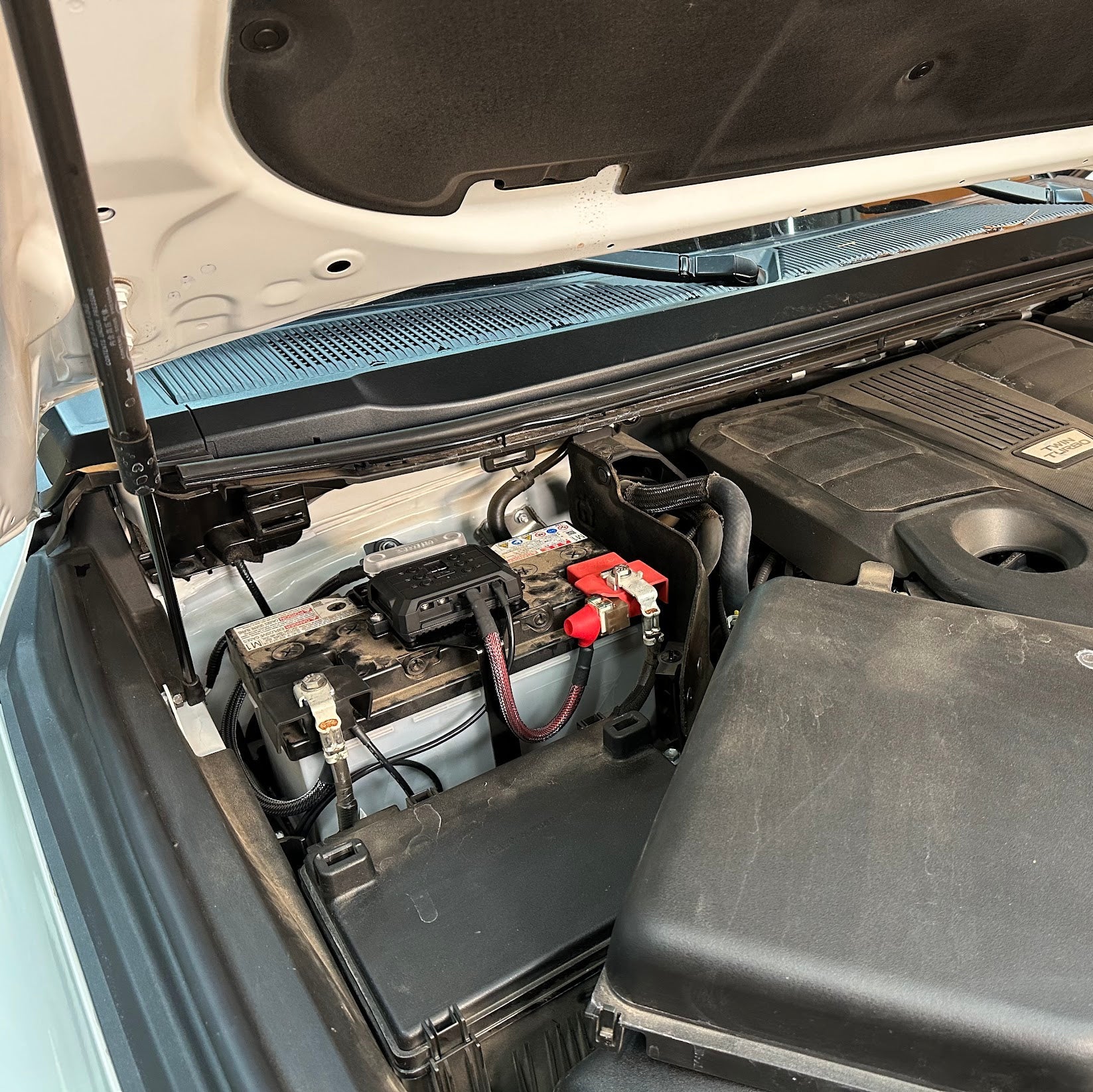 IMG_3631.jpg?crop=center&