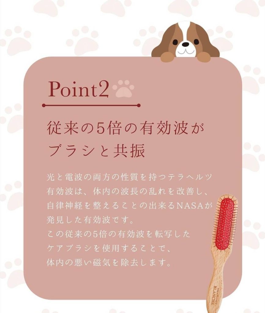 世界初ペット用テラヘルツブラシ登場！ - Blanche