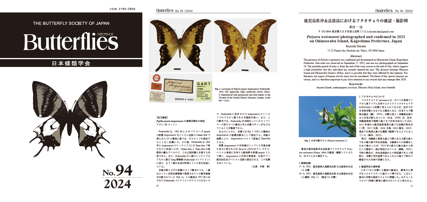 第94号（2024年7月25日）</br> No.94 July 25, 2024 | 日本蝶類学会